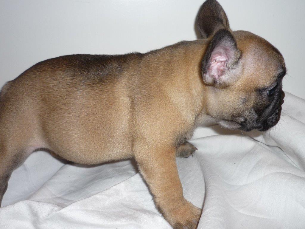 BABY-BELLA 2