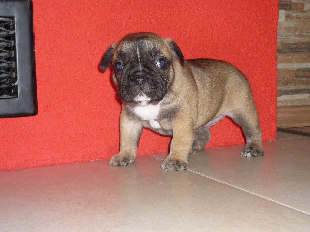 baby-bella4